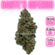 Copy of Dantes Inferno Nug Data