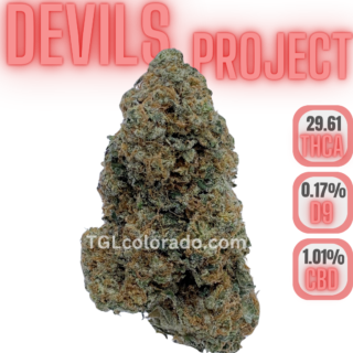 Copy of Devils Project Nug Data