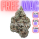 Copy of Free Mac Nug Data