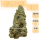 TGLcolorado.com (34)