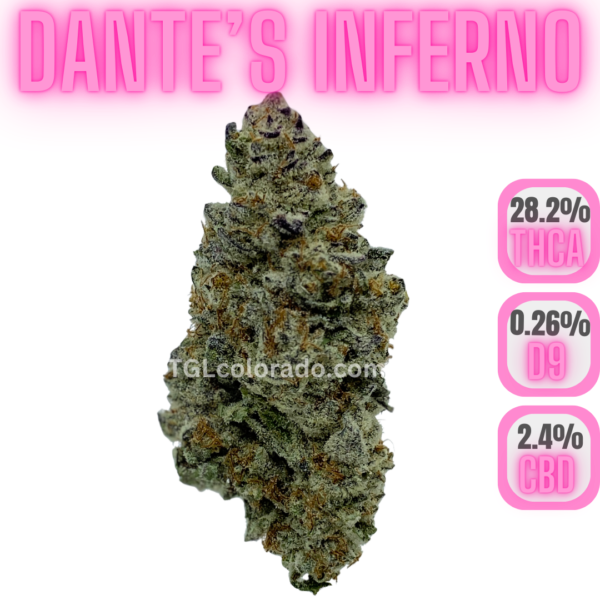 Dante's Inferno