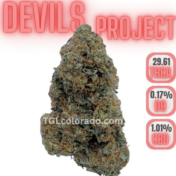 Devil's Project