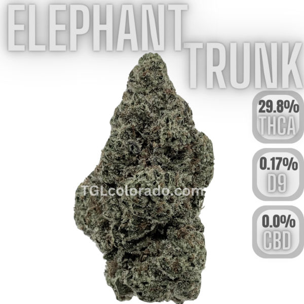 Elephant Trunk