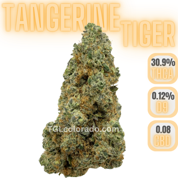 Tangerine Tiger